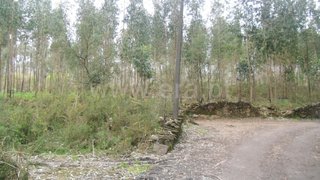 Land for sale in Santo Tirso, Portugal — €50,000