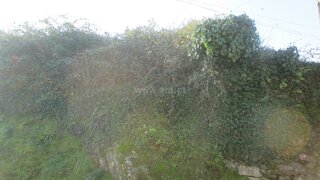 Land for sale in Oliveira de Azeméis, Portugal — €15,000