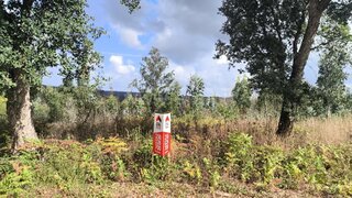 Land for sale in Oliveira de Azeméis, Portugal — €45,000