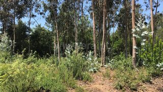 Land for sale in Albergaria-a-Velha, Portugal — €72,950