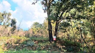 Land for sale in Marco de Canaveses, Portugal — €30,500