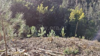 Land for sale in Águeda, Portugal — €12,500