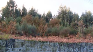 Terreno em Porto · 7000 m² · 350 000 €