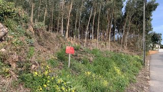 Land for sale in Estarreja, Portugal — €60,000