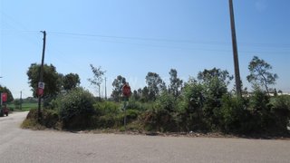 Land for sale in Oliveira de Azeméis, Portugal — €255,000