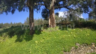 Land for sale in Gondomar, Portugal — €216,000