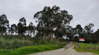 Land for sale in Murtosa, Portugal — €3,000,000