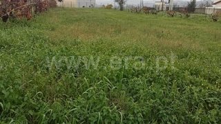 Land for sale in Águeda, Portugal — €38,000