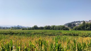 Land for sale in Paredes, Portugal — €22,000