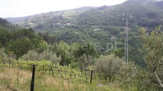 Land for sale in Amarante, Portugal — €30,000