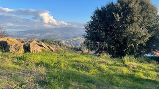 Land for sale in Penafiel, Portugal