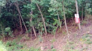 Land for sale in Gondomar, Portugal — €80,000