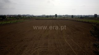 Land for sale in Estarreja, Portugal — €75,000