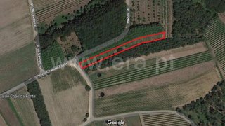Land for sale in Oliveira do Bairro, Portugal — €9,000
