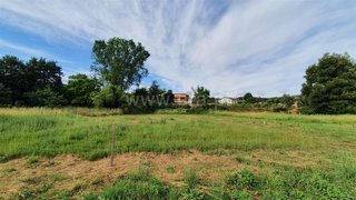 Land for sale in Albergaria-a-Velha, Portugal — €30,000