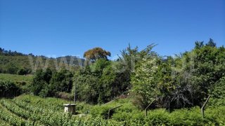 Land for sale in Baião, Portugal — €8,000