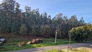 Land for sale in Albergaria-a-Velha, Portugal