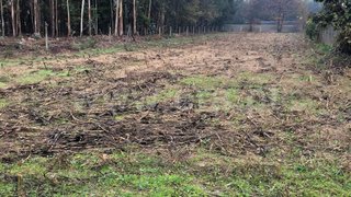 Terreno em Albergaria-a-Velha