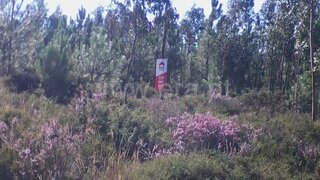 Terreno em Gondomar