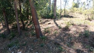 Land for sale in Gondomar, Portugal — €50,000