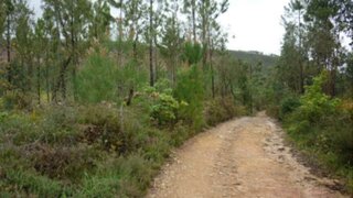 Land for sale in Gondomar, Portugal — €40,000