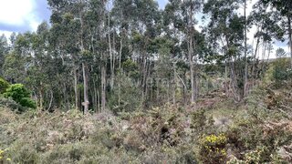 Land for sale in Paredes, Portugal — €30,000