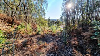 Terreno em Albergaria-a-Velha