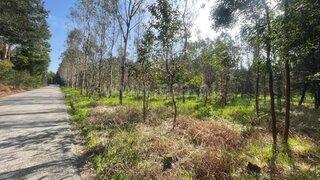 Land for sale in Murtosa, Portugal — €10,500