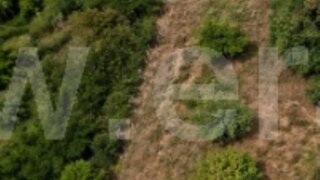 Land for sale in Estarreja, Portugal — €6,000