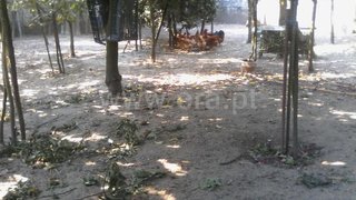Land for sale in Gondomar, Portugal
