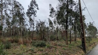 Land for sale in Ovar, Portugal — €195,000