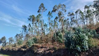 Land for sale in Santa Maria da Feira, Portugal — €2,000,000