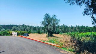 Land for sale in Águeda, Portugal