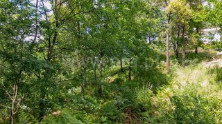 Land for sale in Amarante, Portugal — €12,000