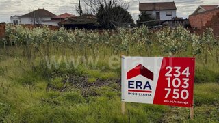 Terreno em Murtosa