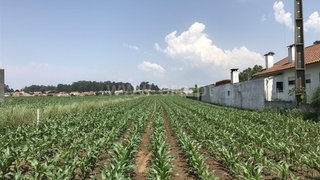 Land for sale in Ovar, Portugal — €42,500