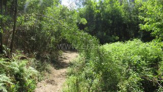 Land for sale in Oliveira de Azeméis, Portugal — €17,500
