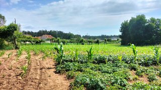 Land for sale in Ovar, Portugal — €35,000