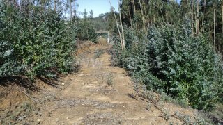 Land for sale in Baião, Portugal — €20,000