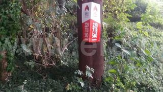 Land for sale in Gondomar, Portugal — €650,000
