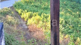 Land for sale in Penafiel, Portugal — €68,000