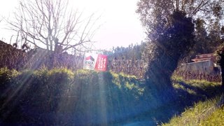 Land for sale in Albergaria-a-Velha, Portugal — €13,000
