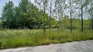 Land for sale in Águeda, Portugal