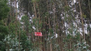 Land for sale in Gondomar, Portugal — €26,000