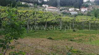 Land for sale in Amarante, Portugal — €8,000