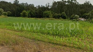 Land for sale in Albergaria-a-Velha, Portugal — €59,000