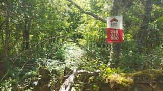 Land for sale in Baião, Portugal — €15,000