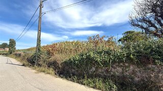 Land for sale in Ovar, Portugal — €47,500