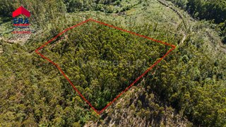 Land for sale in Santa Maria da Feira, Portugal — €25,000