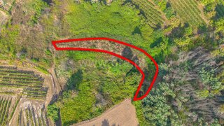 Terreno em Amarante